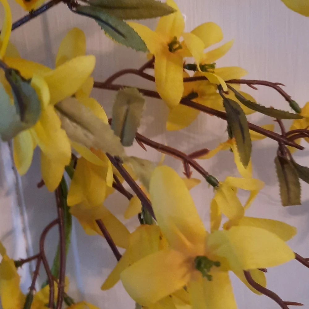 Forsythia Wreath Yellow Flower Spring Easter Everyday Candle Ring Centerpiece